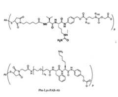 Figure 104119613-A0202-12-0142-154