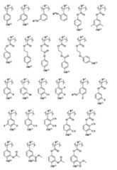 Figure JPOXMLDOC01-appb-C000032