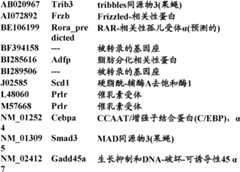 Figure BDA0000057170160002401