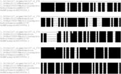 Figure US06872704-20050329-C00004