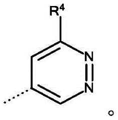 Figure FDA0003869057760000014