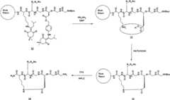 Figure G2007800458747D00371