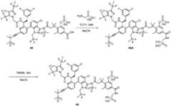 Figure imgf000246_0001