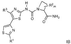 Figure imgf000013_0002