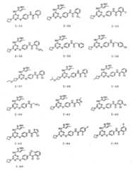 Figure 112008039273174-PCT00030