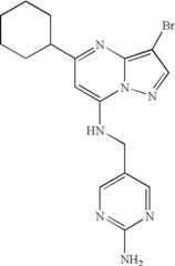 Figure US07119200-20061010-C01272