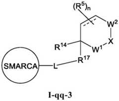 Figure FDA0003783300820000271