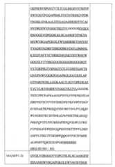 Figure 108144714-A0101-12-0081-354