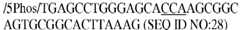 Figure imgb0028