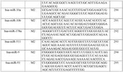 Figure imgf000175_0001