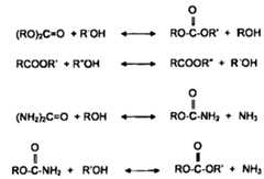 Figure imgf000006_0002