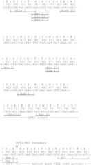 Figure US07208293-20070424-C00147