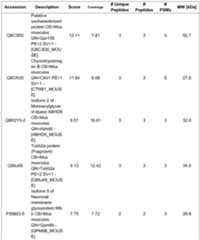 Figure imgf000047_0001