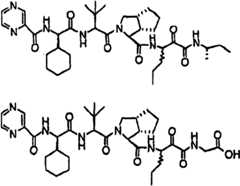 Figure BSA00000606821201383