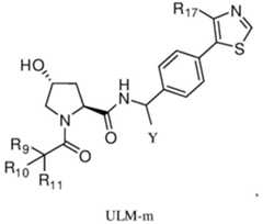 Figure BDA0003027048450001521