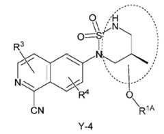 Figure imgf000012_0001