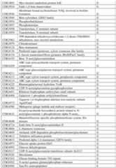 Figure imgf000479_0001