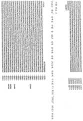 Figure 112001007761231-pct00074