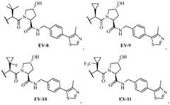 Figure imgf000315_0002