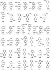 Figure BDA0002713839620000251