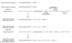 Figure imgf000749_0001