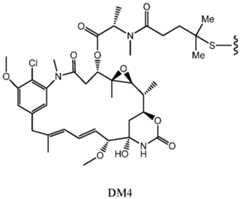 Figure imgf000037_0002
