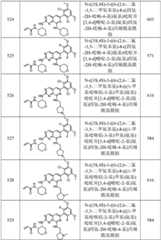 Figure GPA0000263212130002221