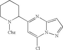 Figure US07119200-20061010-C00562