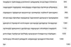 Figure 107111471-A0305-02-0054-74