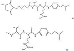 Figure FDA0002803871430000062