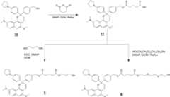 Figure 112006022847171-pat00011