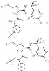 Figure imgf000251_0001