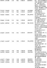 Figure BPA00001280678303601