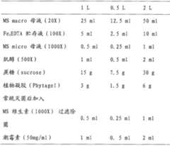 Figure BSA00000340984900201