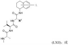 Figure BDA0003027048450000584