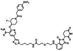 Figure BDA0002964098100002462