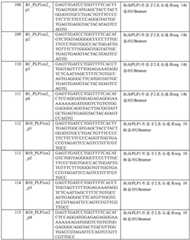 Figure BDA0002379404260000741