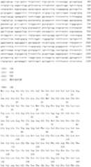 Figure IDA0000079231860000851