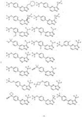 Figure imgf000010_0001