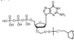 Figure imgf000263_0003
