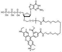 Figure imgf000248_0002