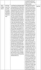 Figure BDA0004033970230006911