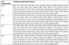 Figure imgf000039_0002