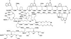 Figure G2007800458747D01511