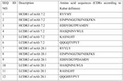 Figure imgf000041_0001
