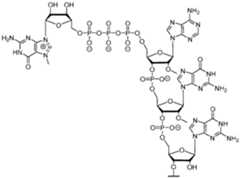 Figure imgf000139_0001