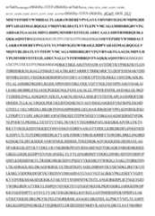 Figure imgf000179_0001