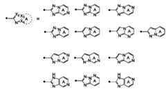 Figure JPOXMLDOC01-appb-C000045