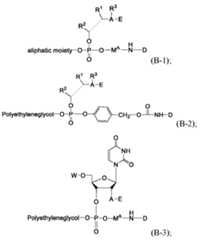 Figure imgf000018_0002