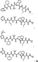 Figure BSA00000606821201581